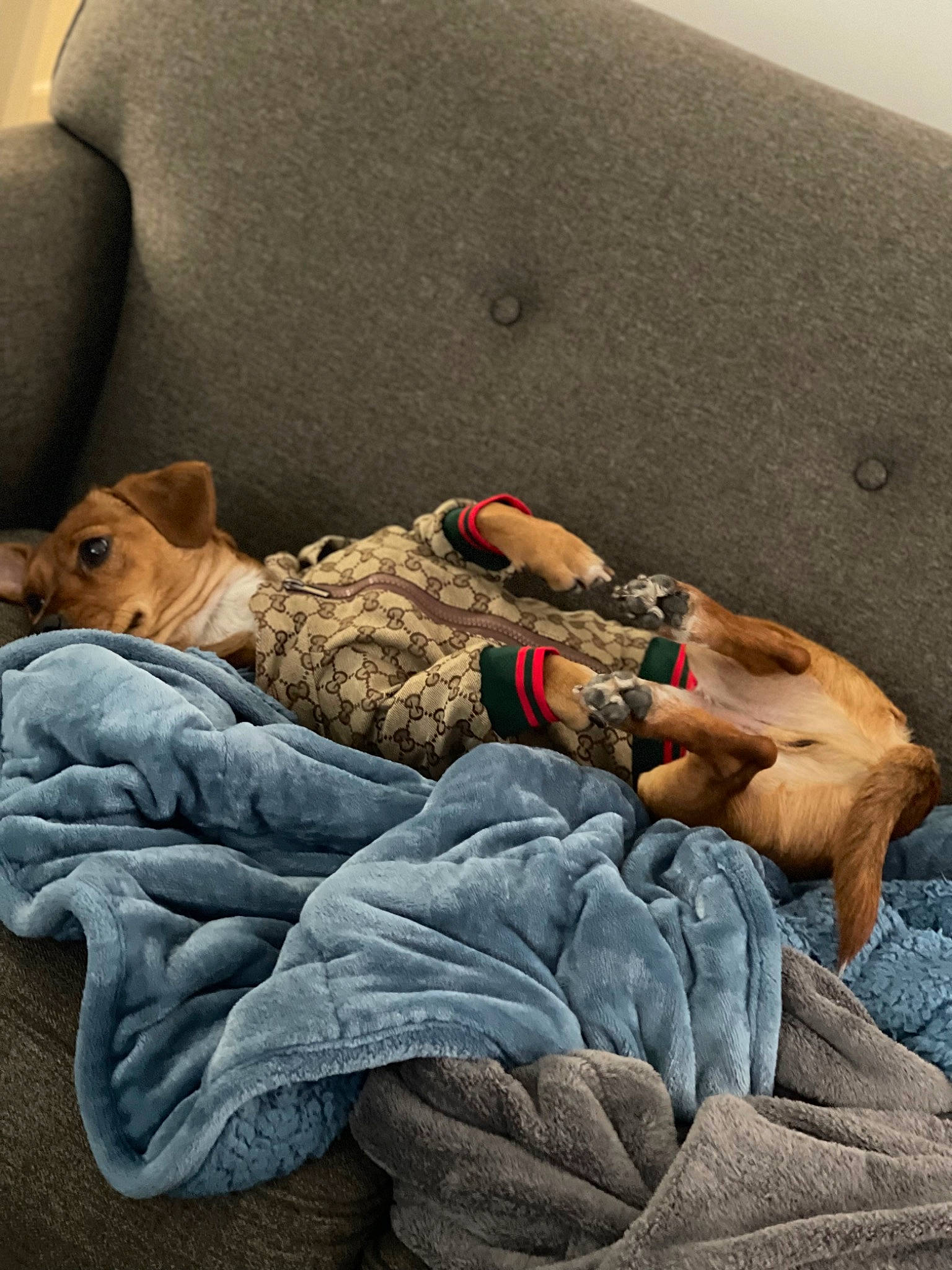 Eddie is registered to the contest to win money with this photo: bag, bedding, camouflage, comfort, denim, fur, hat, human_body, human_leg, knee, leg, linens, military_camouflage, room, sitting, soldier, textile, thigh, wood, wrist