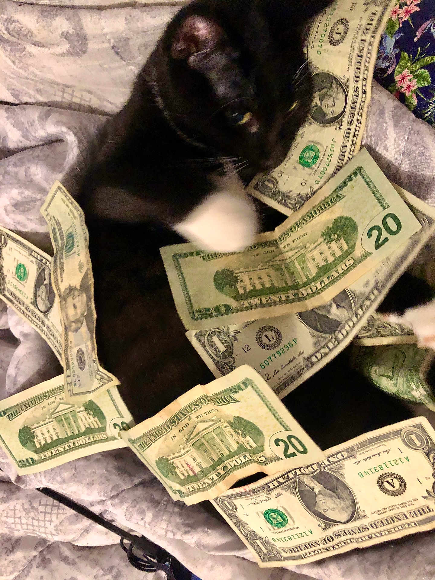 Bubba