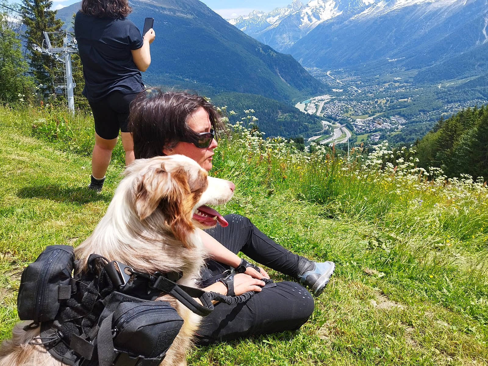 Darwin a rejoint le concours — aidez-le/la à gagner de superbes lots ! adventure, carnivore, companion_dog, dog, dog_breed, grass, grassland, landscape, leisure, luggage_and_bags, mountain, mountain_range, natural_landscape, people_in_nature, plant, recreation, sky, travel, tree, walking