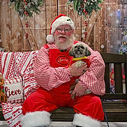 Charlee Anne is registered to the contest to win money with this photo: santa_claus, dog, christmas, holiday, bench, festive, red_clothing, white_beard, glasses, wooden_background, christmas_tree, decorations, winter, plush_toy, blanket, smiling, portrait, indoor, seasonal, festivity