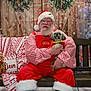 santa_claus, dog, christmas, holiday, bench, festive, red_clothing, white_beard, glasses, wooden_background, christmas_tree, decorations, winter, plush_toy, blanket, smiling, portrait, indoor, seasonal, festivity