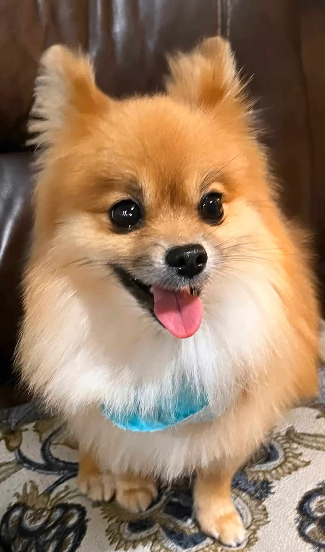 Roger