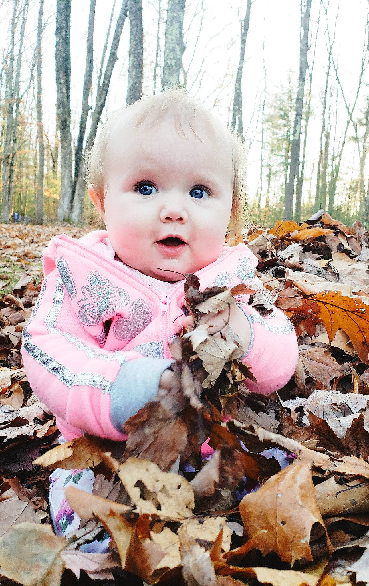Briar is registered to the contest to win money with this photo: autumn, baby, cheek, child, eye, fawn, grass, leaf, person, photography, pink, plant, play, portrait, portrait_photography, smile, toddler, tree