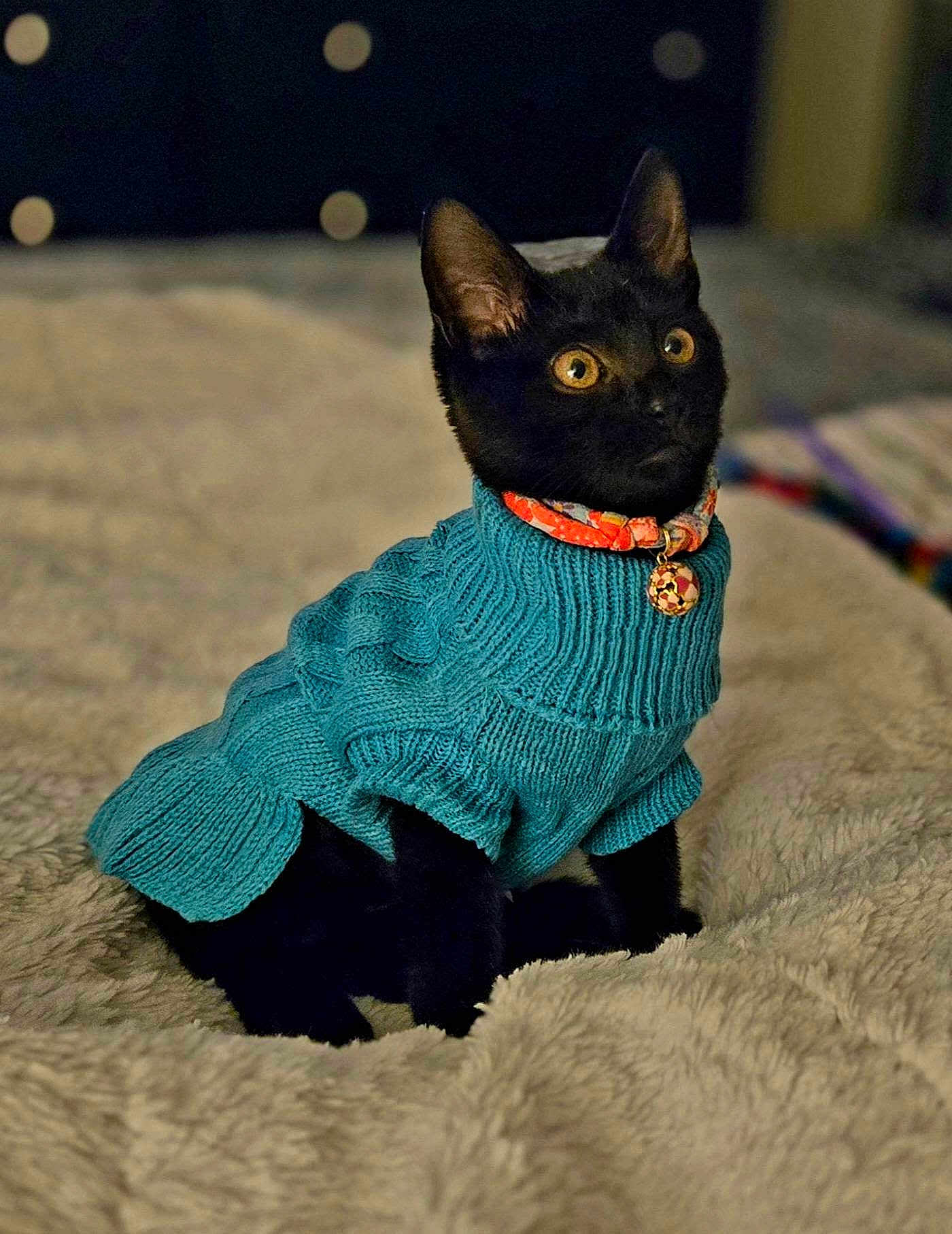 Duchess Bee Von Choi