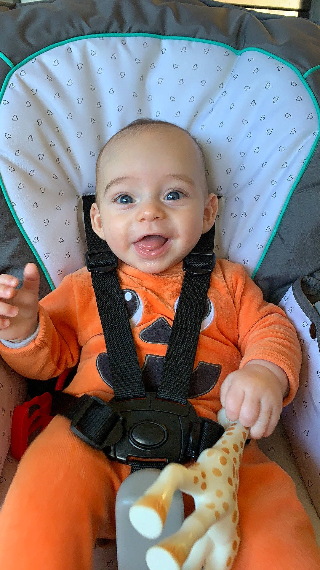 Aleandro participe au concours pour gagner de l'argent avec cette photo : baby, child, person, toddler