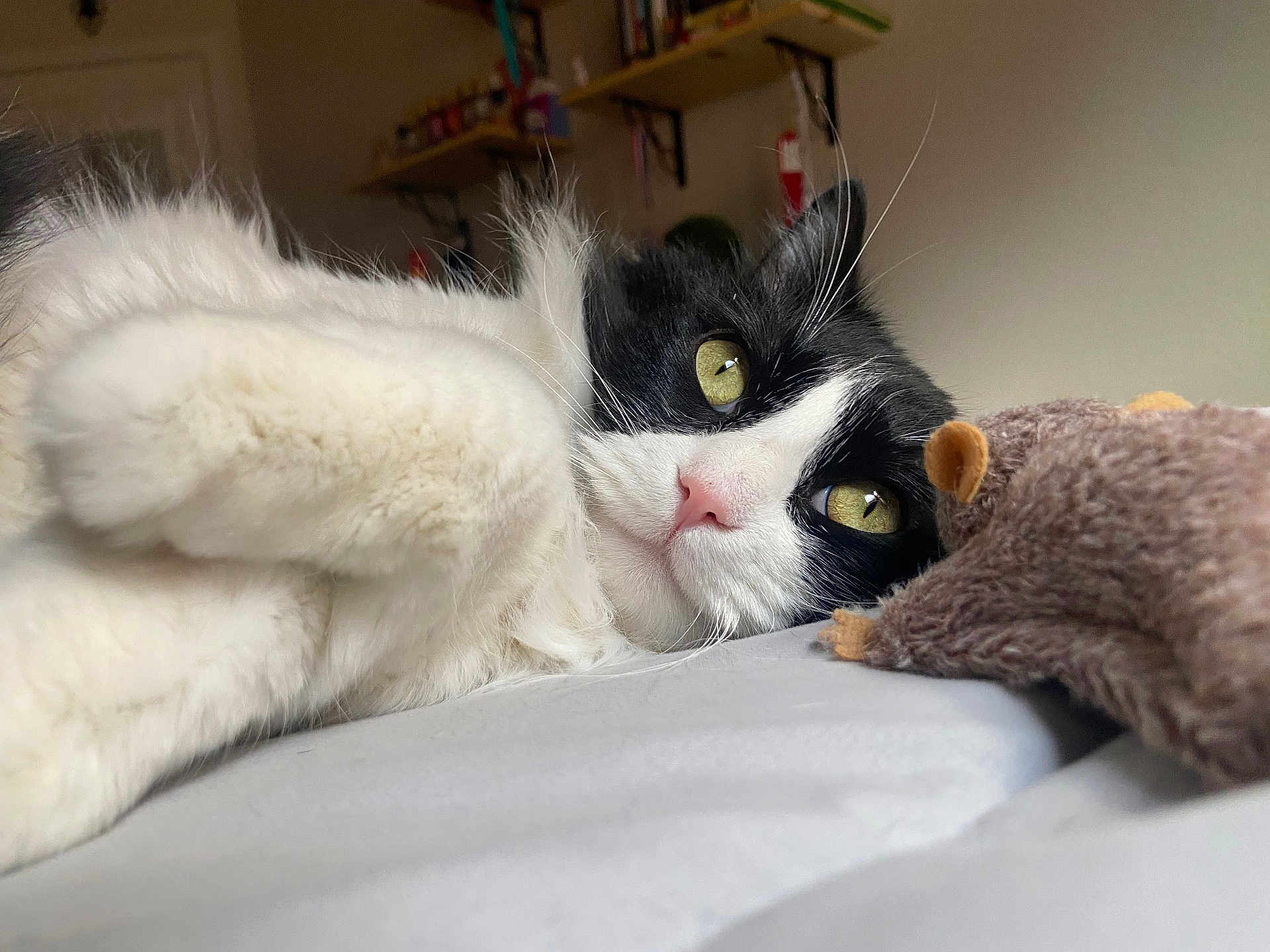 Coco
