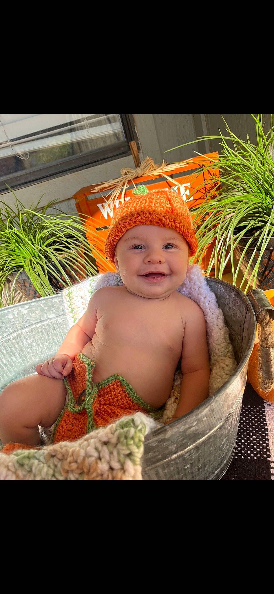Beckham joined the competition — help win amazing prizes! abdomen, baby, baby_toddler_clothing, barechested, child, event, fashion_accessory, fun, garden, grass, happy, hat, headwear, joy, leisure, navel, people_in_nature, person, plant, sitting