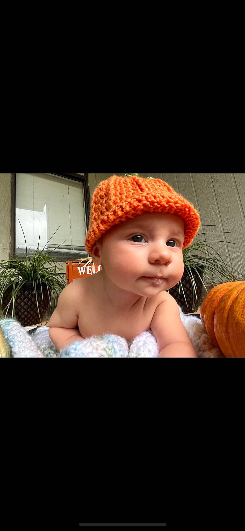 Beckham joined the competition — help win amazing prizes! baby_toddler_clothing, calabaza, cap, child, cucurbita, flash_photography, gourd, happy, hat, headgear, headpiece, headwear, knit_cap, lip, person, plant, pumpkin, squash, toddler, vegetable