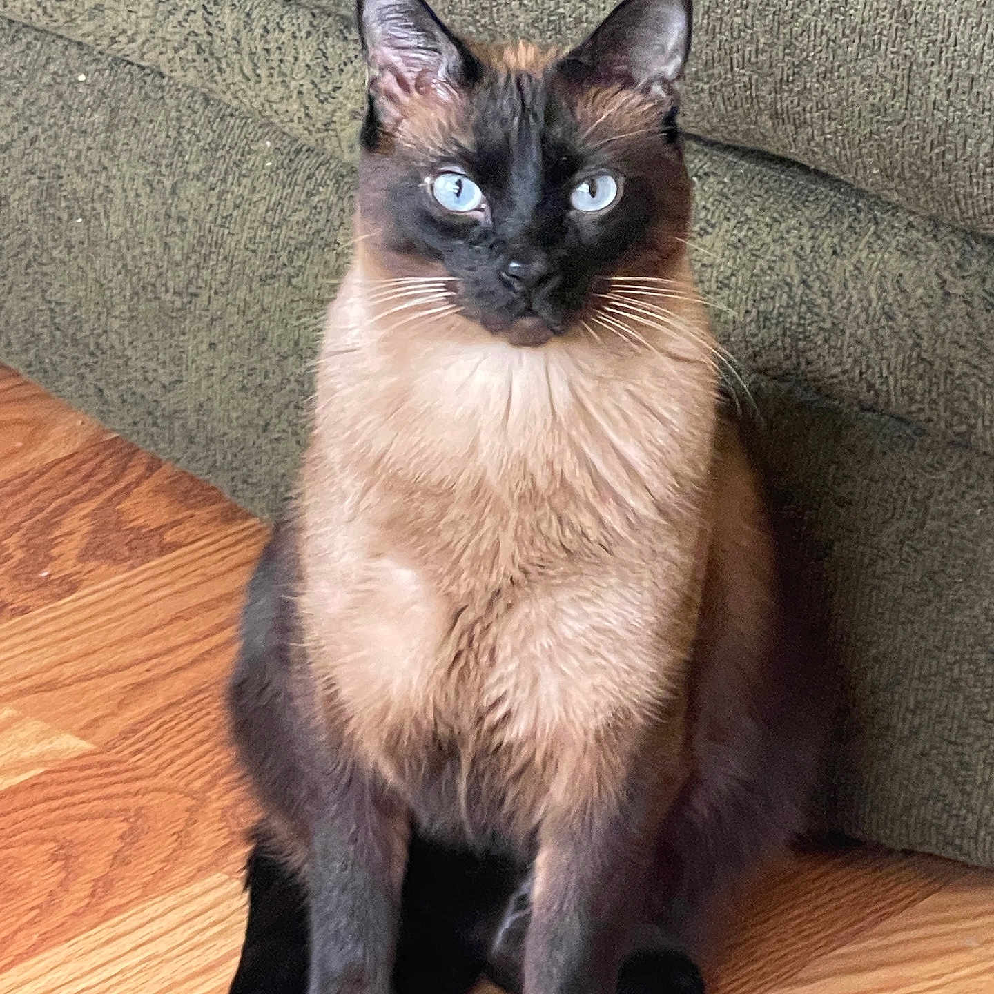 Luki