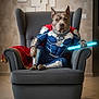 Aiko a rejoint le concours — aidez-le/la à gagner de superbes lots ! dog, costume, superhero, armor, cape, chair, indoor, pet, animal, portrait, furniture, living_room, floor, tile_floor, light_stick, blue, red, gray_chair, decor, posing