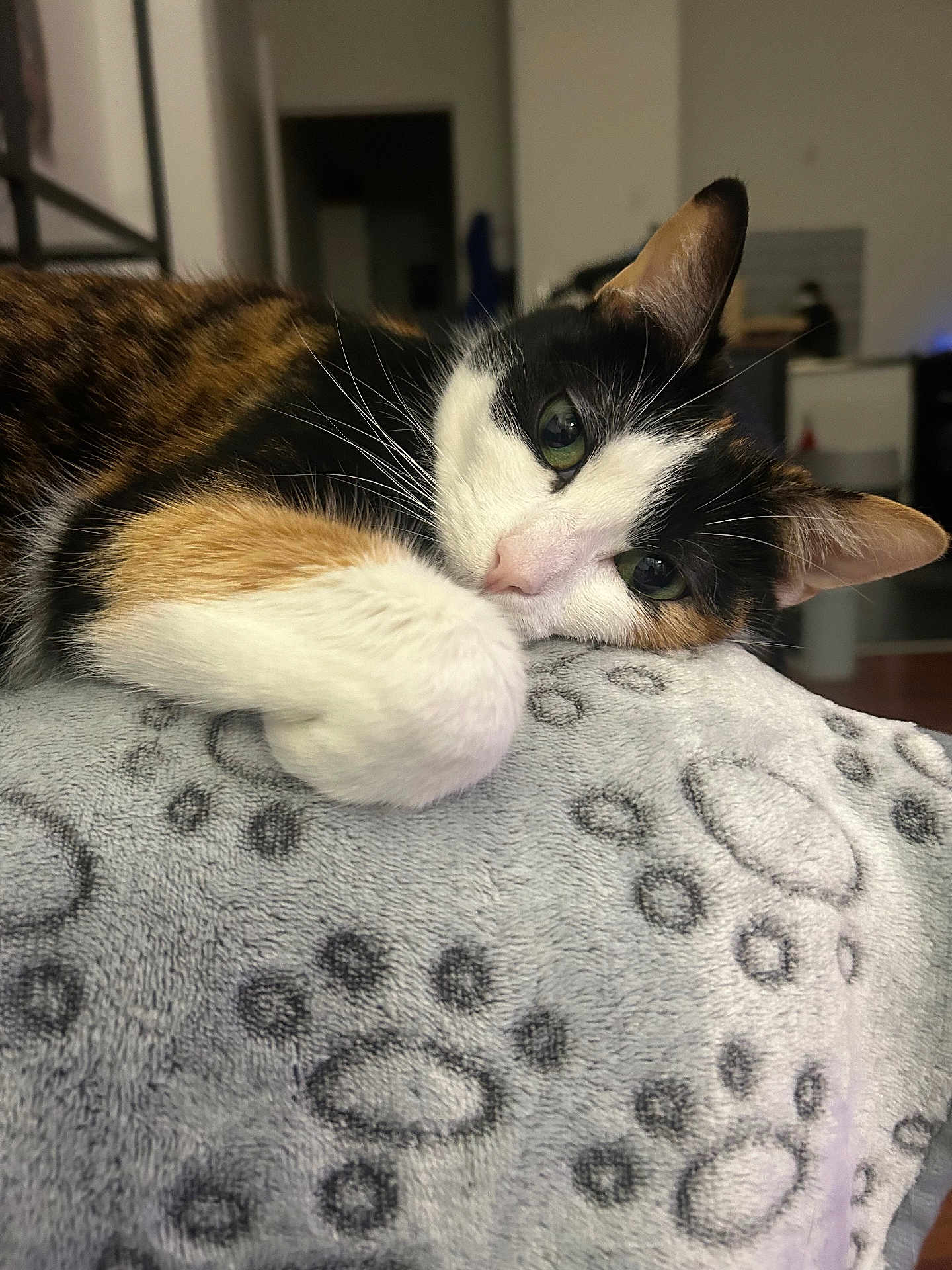 Nala
