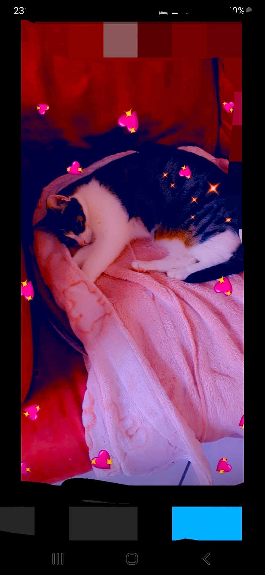Nala participe au concours pour gagner de l'argent avec cette photo : cat, sleeping, blanket, pink, couch, furniture, indoor, pet, cozy, relaxing, heart_stickers, sparkles, fur, resting, domestic_animal, cute, comfort, animal, soft, home