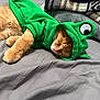 cat, kitten, orange_cat, ginger_cat, pet, sleeping, hoodie, green_hoodie, frog_costume, bed, blanket, paw, fur, cozy, asleep, domestic_animal, textile, close_up, indoor, whiskers