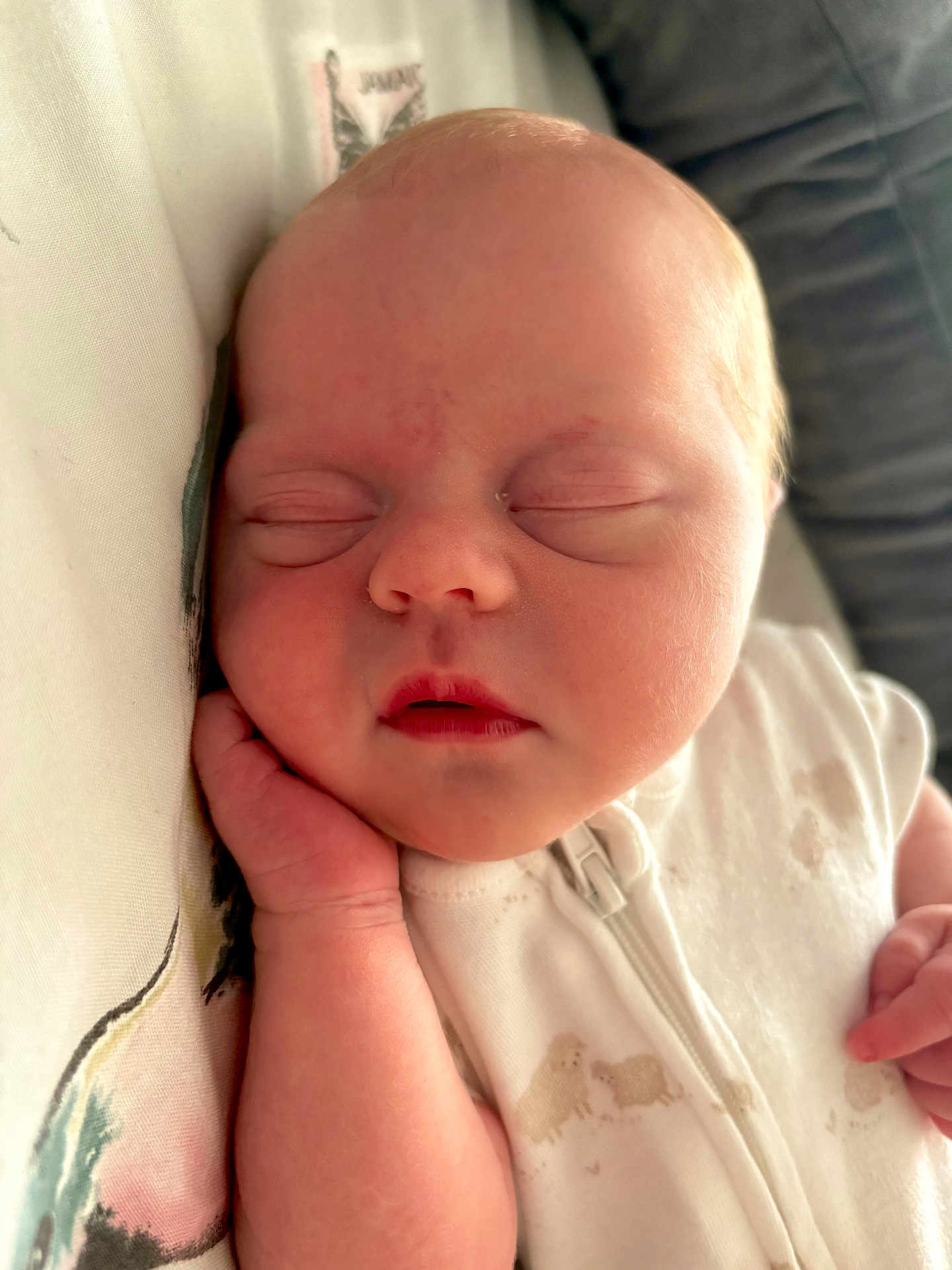 Adeline joined the competition — help win amazing prizes! baby, sleeping, infant, peaceful, hand, face, white_clothing, sheep_pattern, cozy, soft_fabric, portrait, child, newborn, resting, closed_eyes, cute, skin, mouth, nose, relaxation