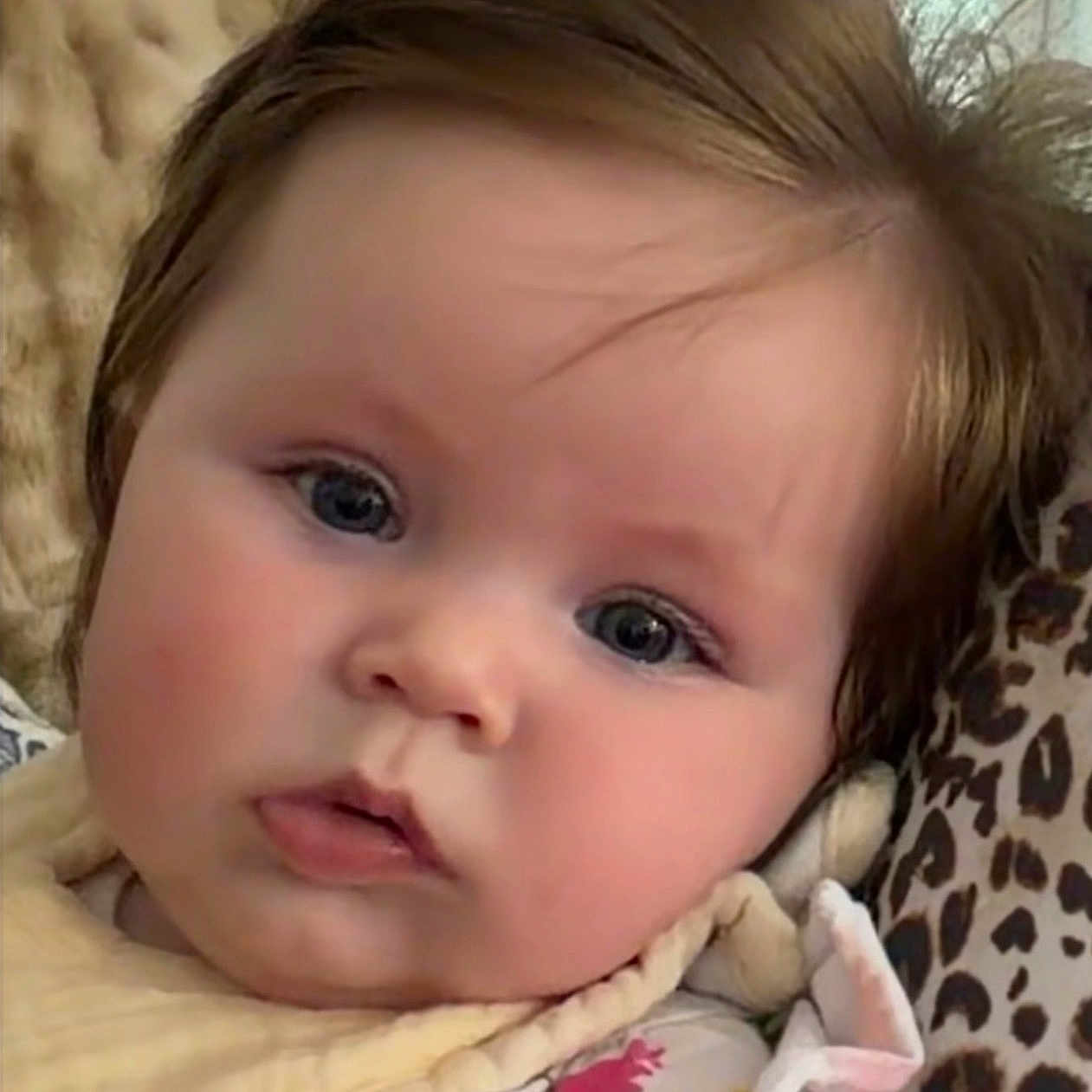 Kylie joined the competition — help win amazing prizes! baby, child, face, blue_eyes, brown_hair, bib, colorful_clothing, cushion, leopard_print, closeup, portrait, indoor, soft_light, toddler, resting, cute, infant, skin, expression, young