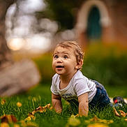 Arsenie participe au concours pour gagner de l'argent avec cette photo : baby, infant, child, crawling, grass, lawn, autumn_leaves, outdoor, portrait, bokeh, smile, happy, eyes, tshirt, jeans, park, greenery, daylight, cute, head