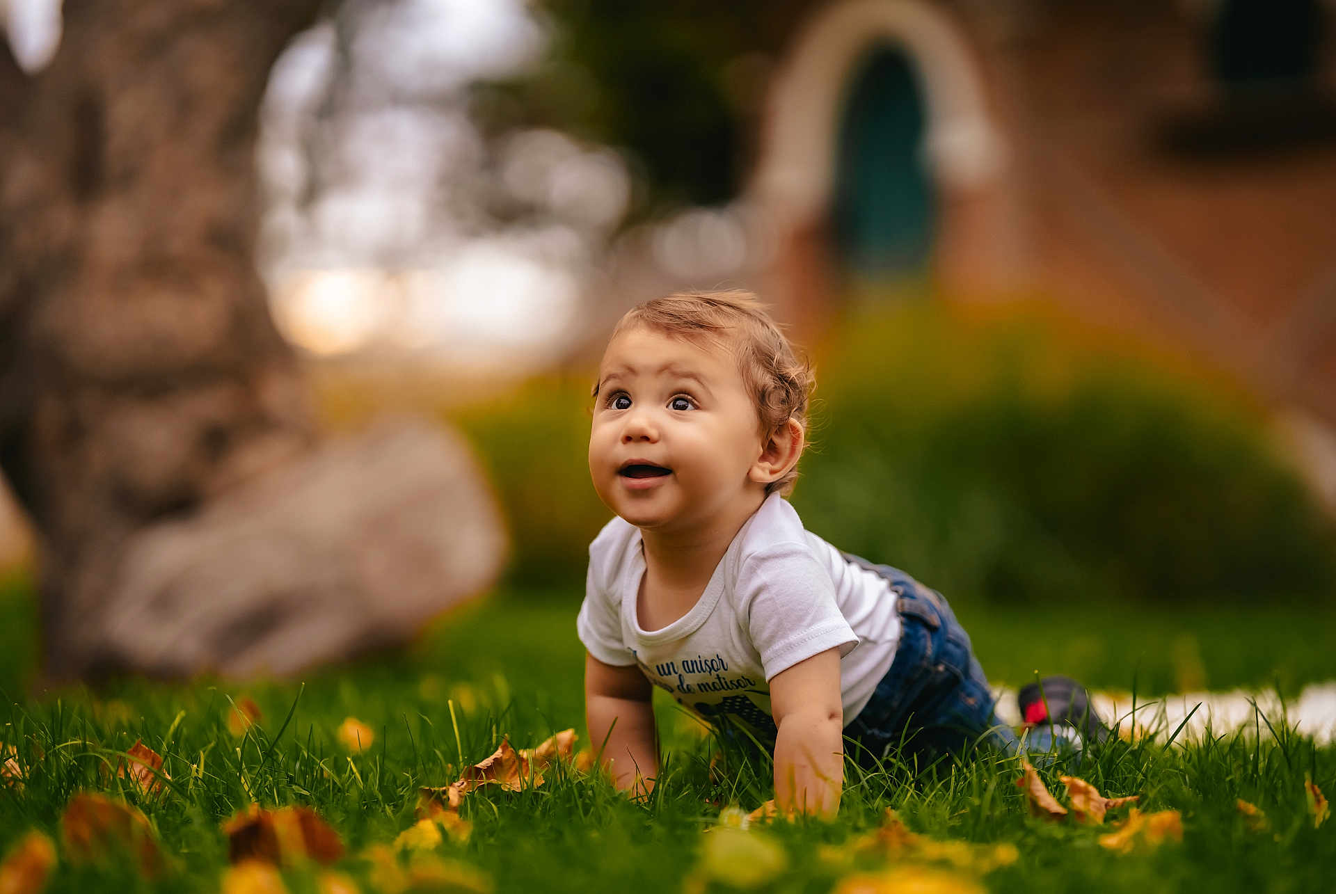Arsenie participe au concours pour gagner de l'argent avec cette photo : baby, infant, child, crawling, grass, lawn, autumn_leaves, outdoor, portrait, bokeh, smile, happy, eyes, tshirt, jeans, park, greenery, daylight, cute, head