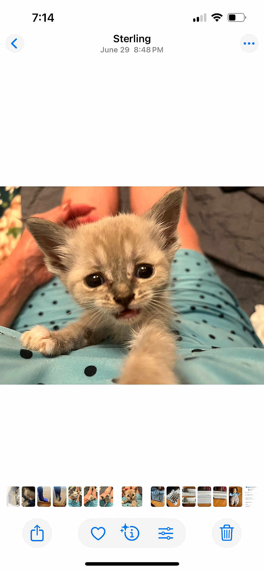 Sophie