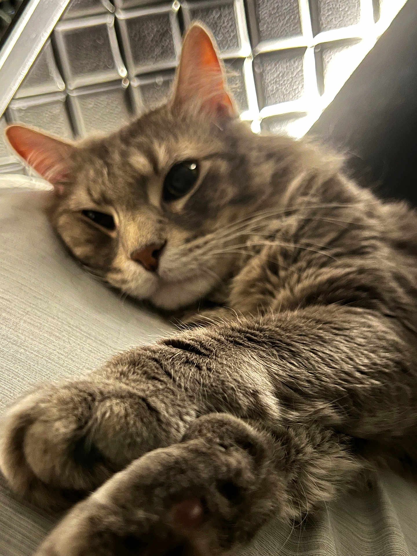 Max