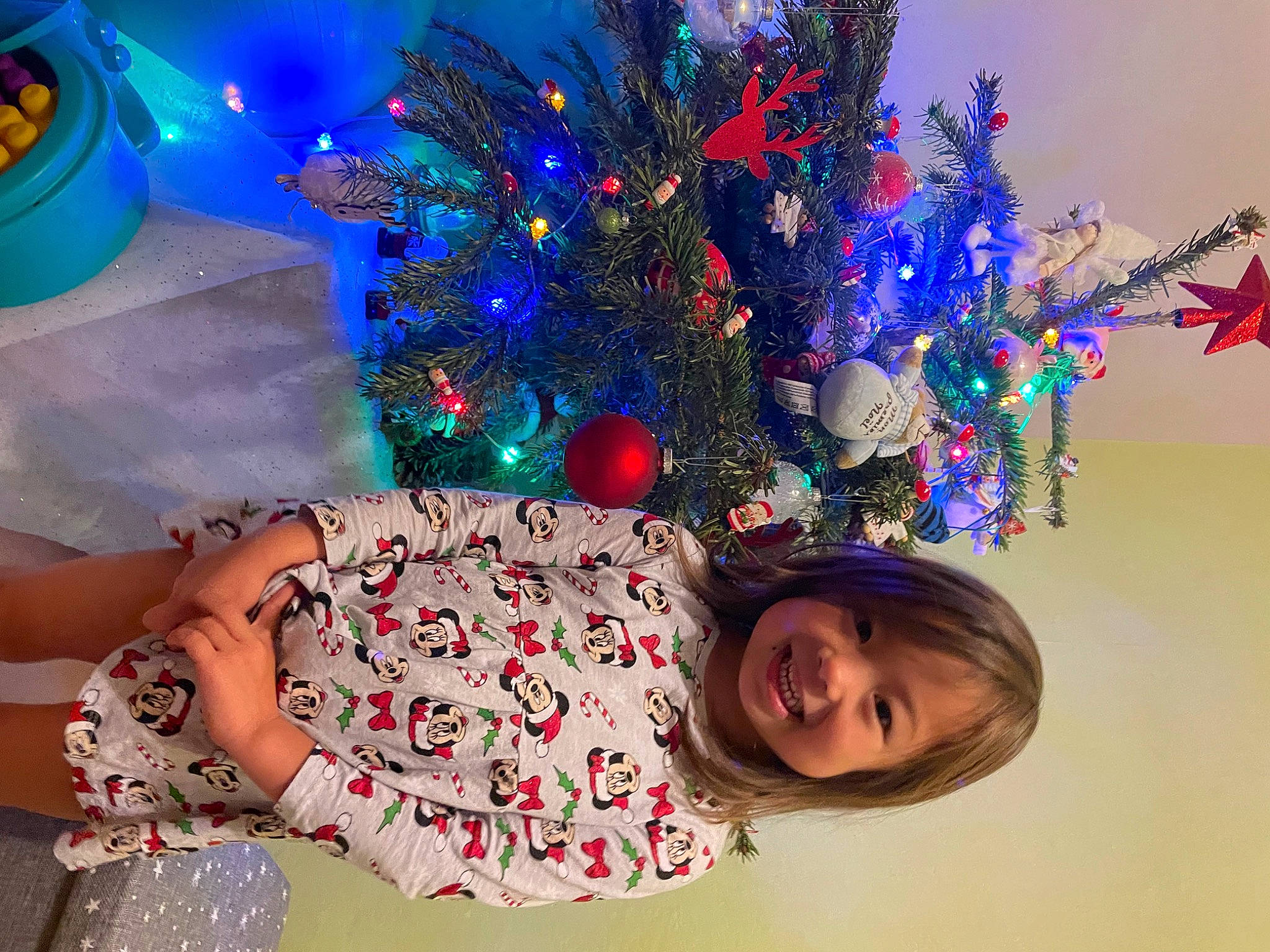 Aria a rejoint le concours — aidez-le/la à gagner de superbes lots ! christmas, christmas_decoration, christmas_eve, christmas_lights, christmas_ornament, christmas_tree, dress, electric_blue, event, evergreen, fun, happy, holiday, holiday_ornament, joy, lap, ornament, person, plant, purple