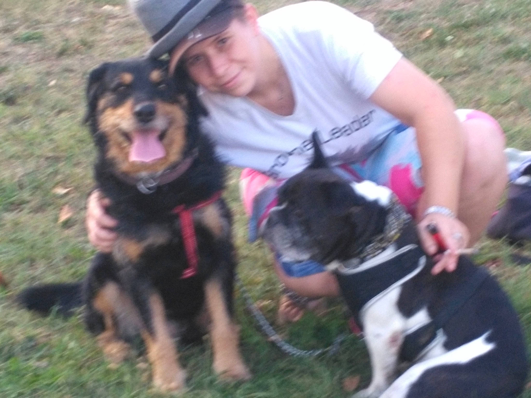 Kamase participe au concours pour gagner de l'argent avec cette photo : adventure, canidae, carnivore, dog, dog_breed, mammal, rare_breed_dog, rottweiler, sporting_group, vertebrate, working_dog