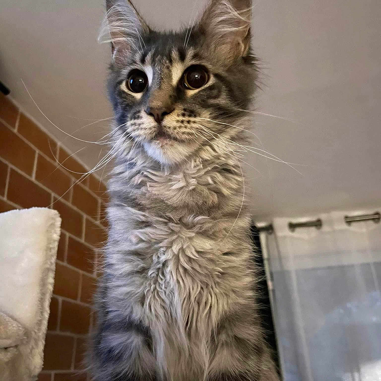 Tixie