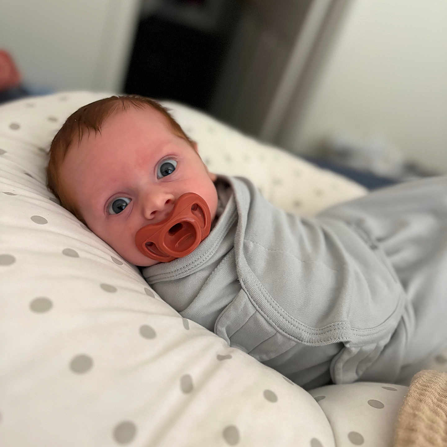 Scot joined the competition — help win amazing prizes! baby, bedding, blanket, blue_eyes, close_up, curious, cute, indoor, infant, newborn, nursery, pacifier, pillow, polka_dot, portrait, resting, skin, sleepwear, soft_focus, swaddle