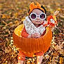 Selena joined the competition — help win amazing prizes! baby, pumpkin, autumn_leaves, fall, outdoor, child, sunglasses, headband, orange_clothing, scarecrow, decorative_lights, cute, seasonal, festive, nature, portrait, sitting, leaf_litter, baby_accessories, fall_fashion
