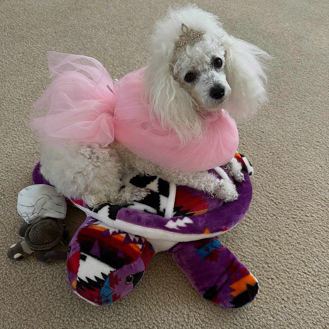 Baby Zoey