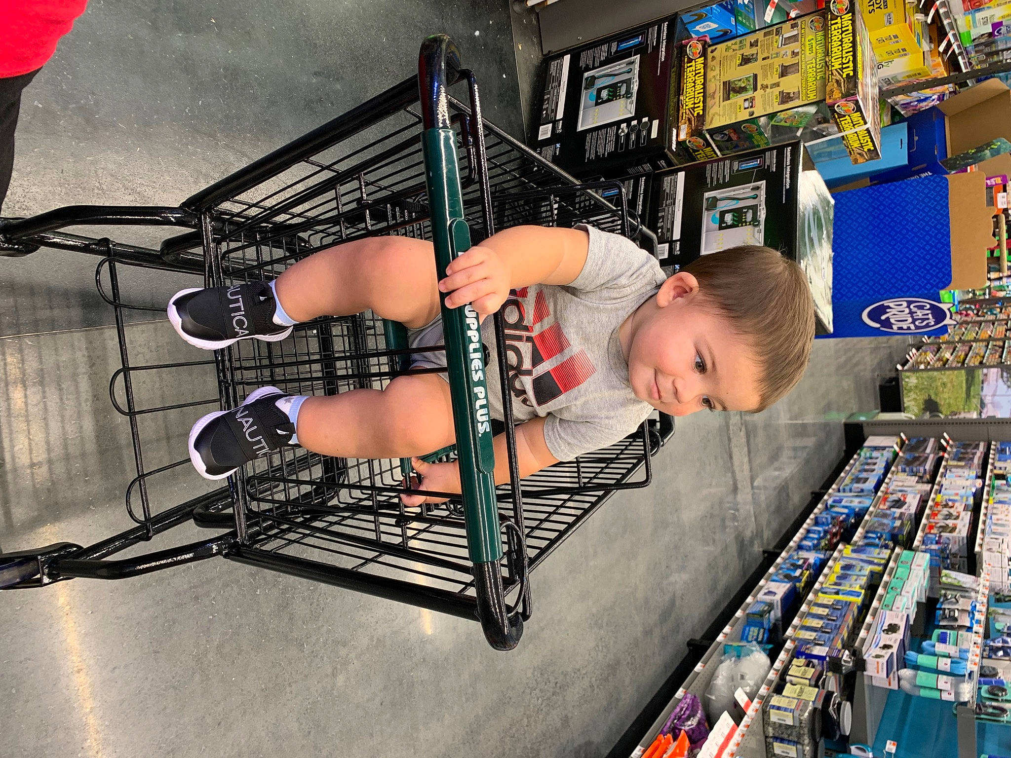 Damien joined the competition — help win amazing prizes! automotive_design, automotive_exterior, child, drum, electronic_instrument, engineering, foot, fun, human_leg, knee, leisure, machine, person, retail, sandal, shelf, thigh, tire, toddler, toy