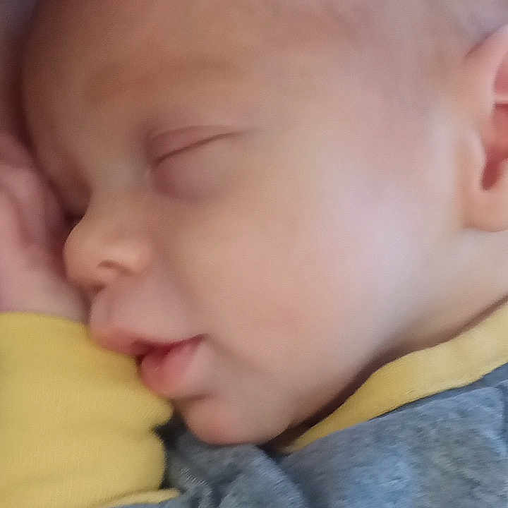 Alexander