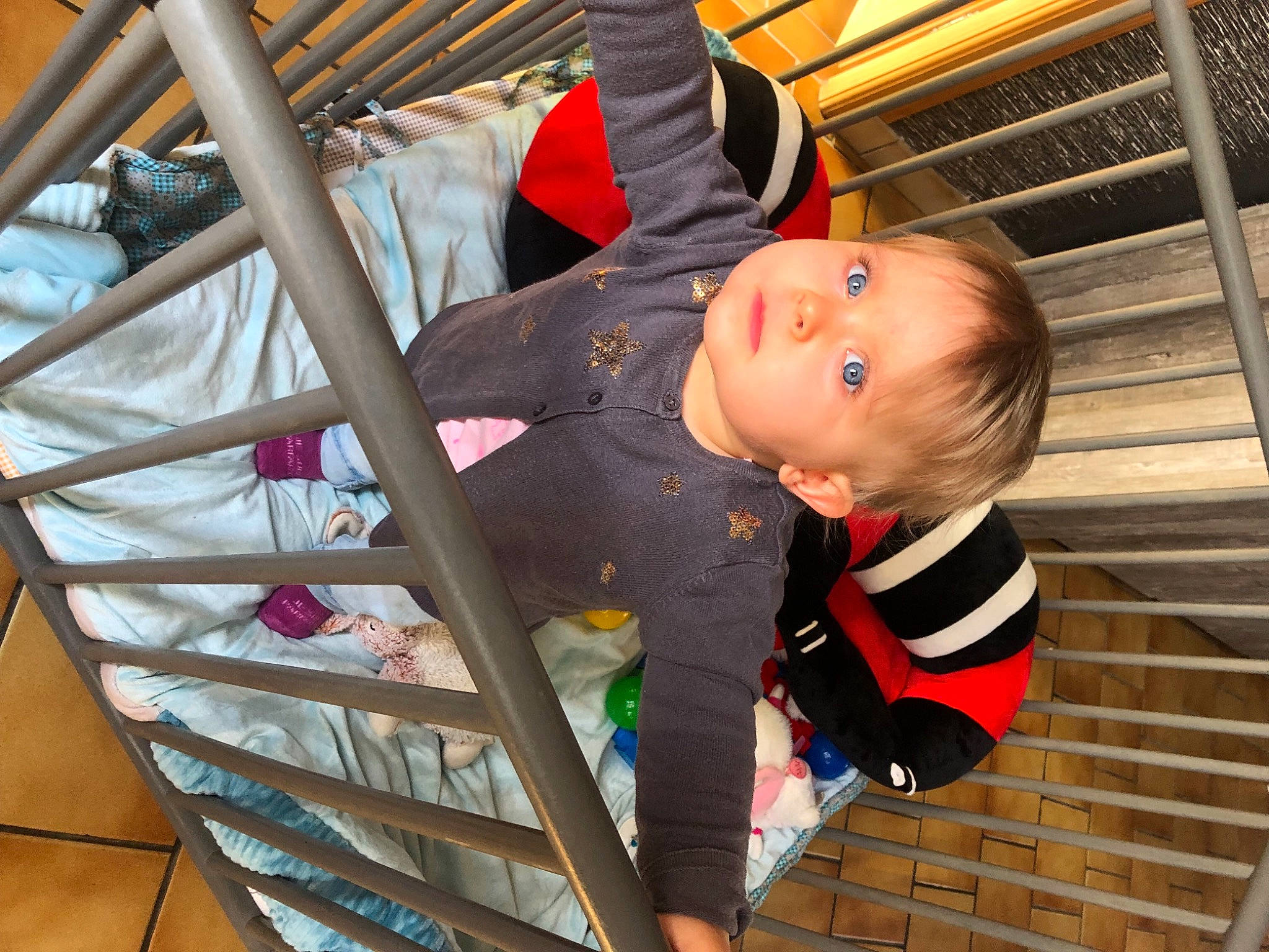 Lola participe au concours pour gagner de l'argent avec cette photo : baby, baby_products, baby_toddler_clothing, child, comfort, fun, jacket, leisure, person, product, smile, toddler, tree, vacation, wood