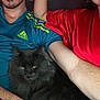 Tao a rejoint le concours — aidez-le/la à gagner de superbes lots ! cat, black_cat, fluffy, green_eyes, person, arm, red_clothing, blue_shirt, adidas_logo, relaxing, indoor, close_up, pet, feline, companionship, resting, casual, human, candid, cozy