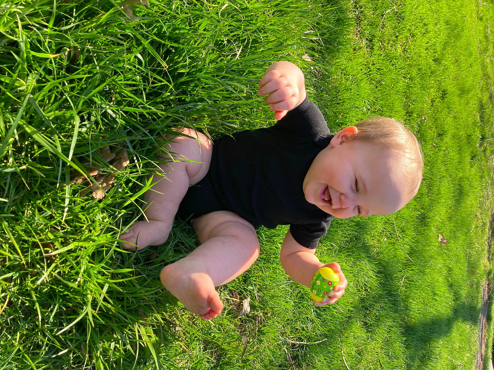 Sullivan joined the competition — help win amazing prizes! baby, child, fun, gesture, grass, grass_family, grassland, green, groundcover, happy, lawn, leaf, leisure, meadow, natural_environment, people_in_nature, person, plant, shrub, sunlight