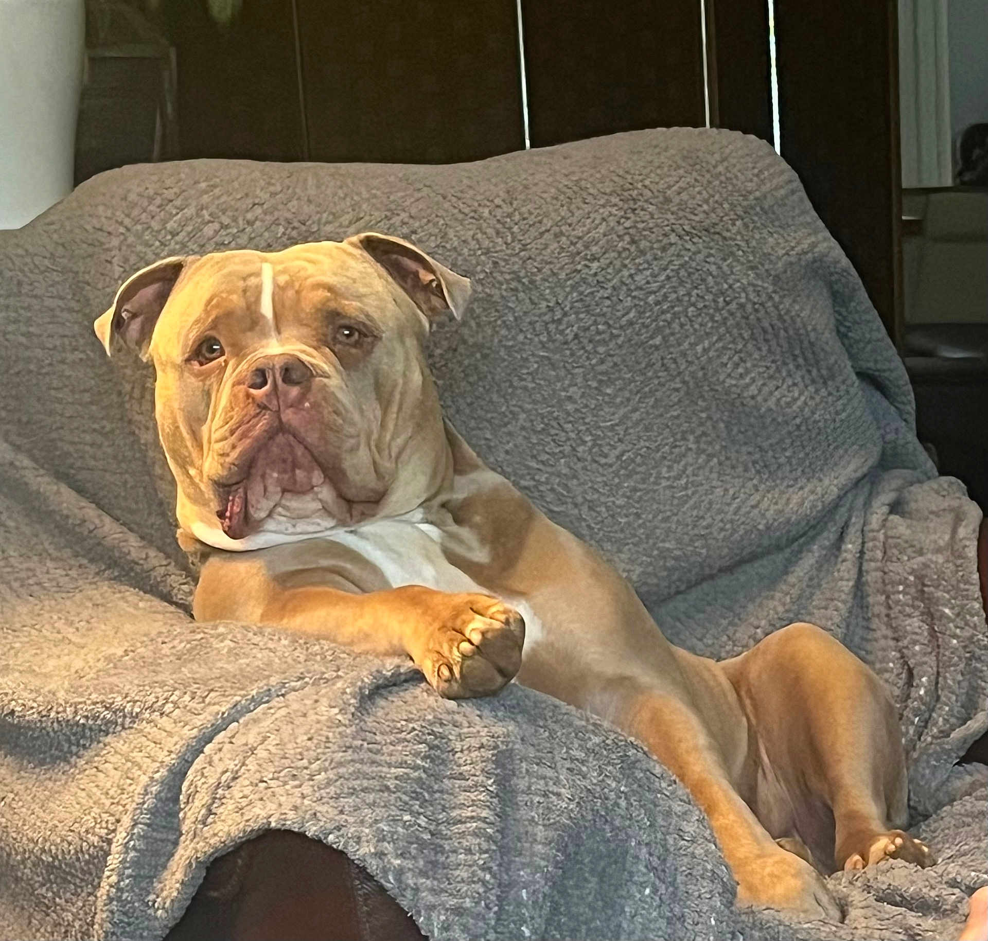 Gino