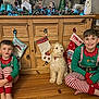 child, dog, christmas, holiday, stocking, pinecone, garland, wooden_floor, cabinet, pajamas, elf_costume, smile, indoor, decorations, furniture, pet, festive, happy, family, blurred_motion