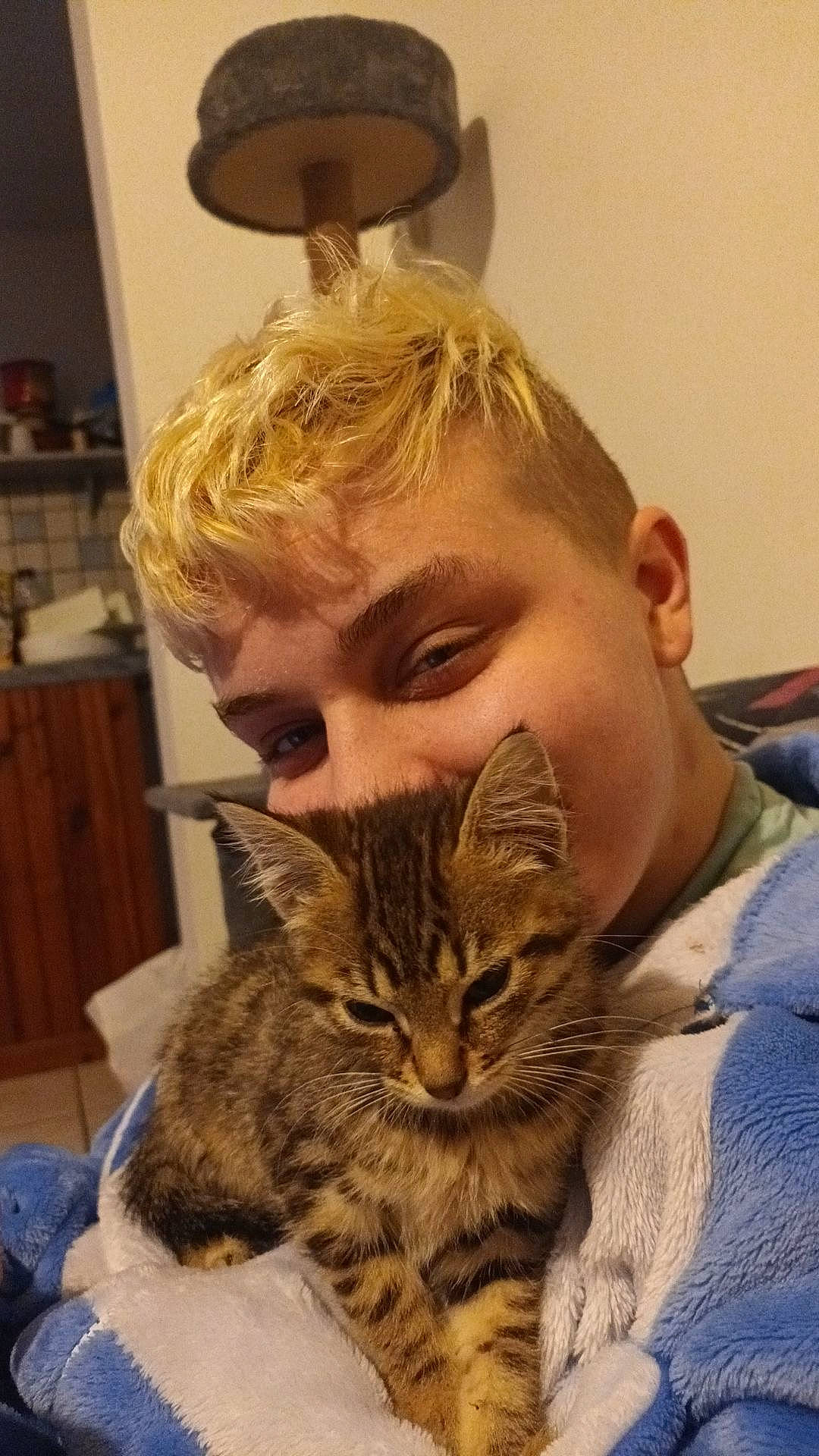 Zip participe au concours pour gagner de l'argent avec cette photo : beard, brown_hair, carnivore, cat, chair, child, comfort, domestic_short_haired_cat, ear, eyewear, facial_hair, felidae, fur, lamp, light_fixture, moustache, personal_protective_equipment, small_to_medium_sized_cats, sunglasses, whiskers