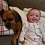 baby, dog, couch, pillow, blanket, smiling, sleeping, onesie, plaid, brown_dog, happy, comfort, indoor, pet, child, infant, relaxation, cozy, texture, resting