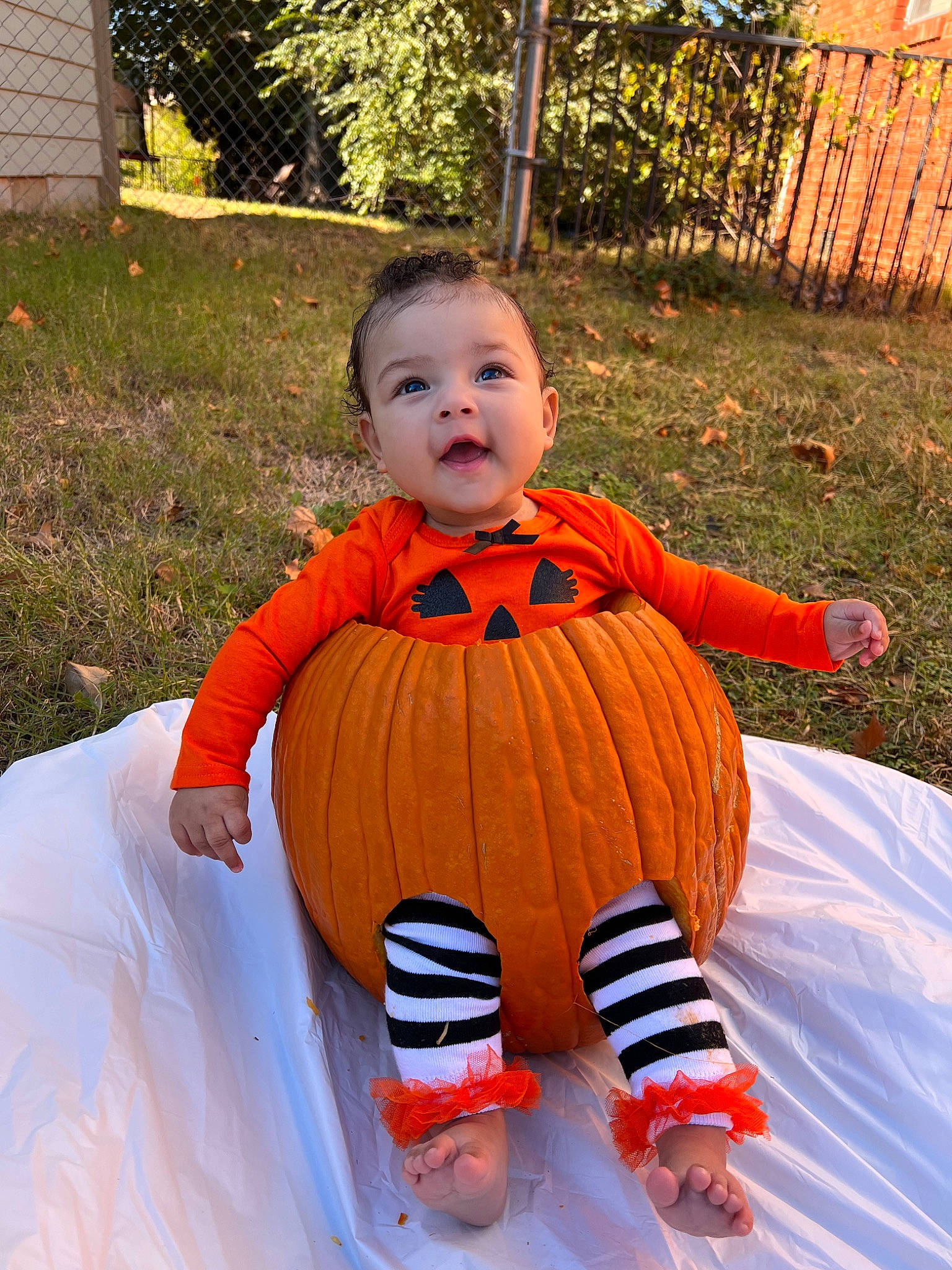 Alaina is registered to the contest to win money with this photo: baby, baby_toddler_clothing, calabaza, child, dress, eye, fun, grass, happy, leaf, leisure, orange, people_in_nature, person, plant, pumpkin, recreation, sitting, sleeve, toddler