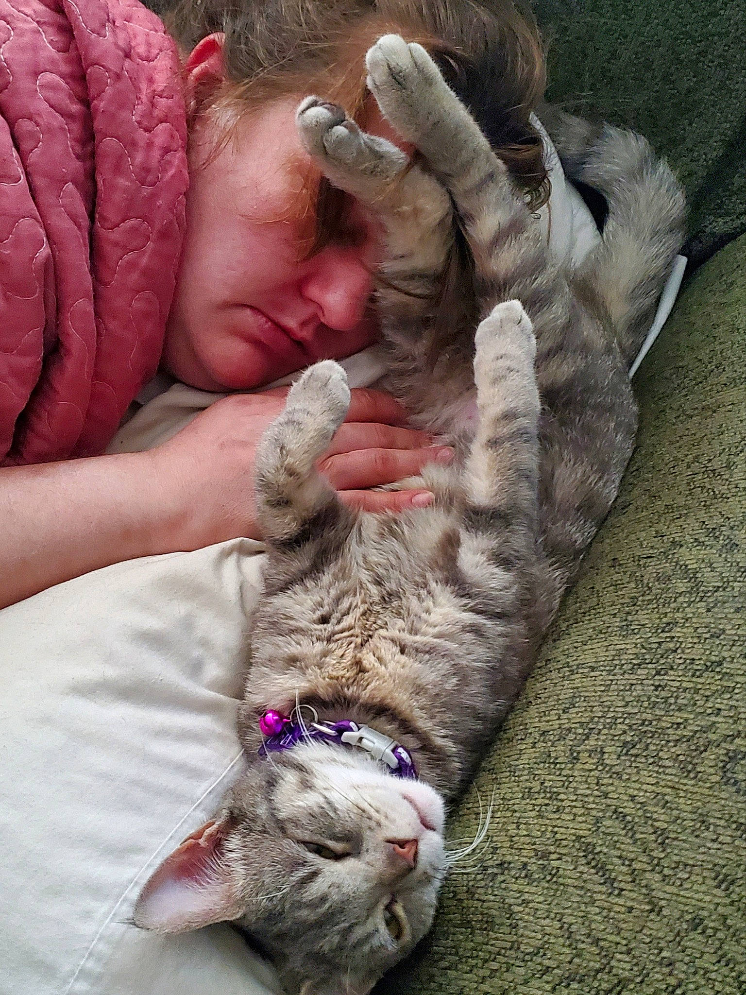 Luna joined the competition — help win amazing prizes! carnivore, cat, comfort, domestic_short_haired_cat, fawn, felidae, finger, foot, fur, gesture, hand, human_leg, leg, nail, paw, skin, small_to_medium_sized_cats, snout, tail, whiskers