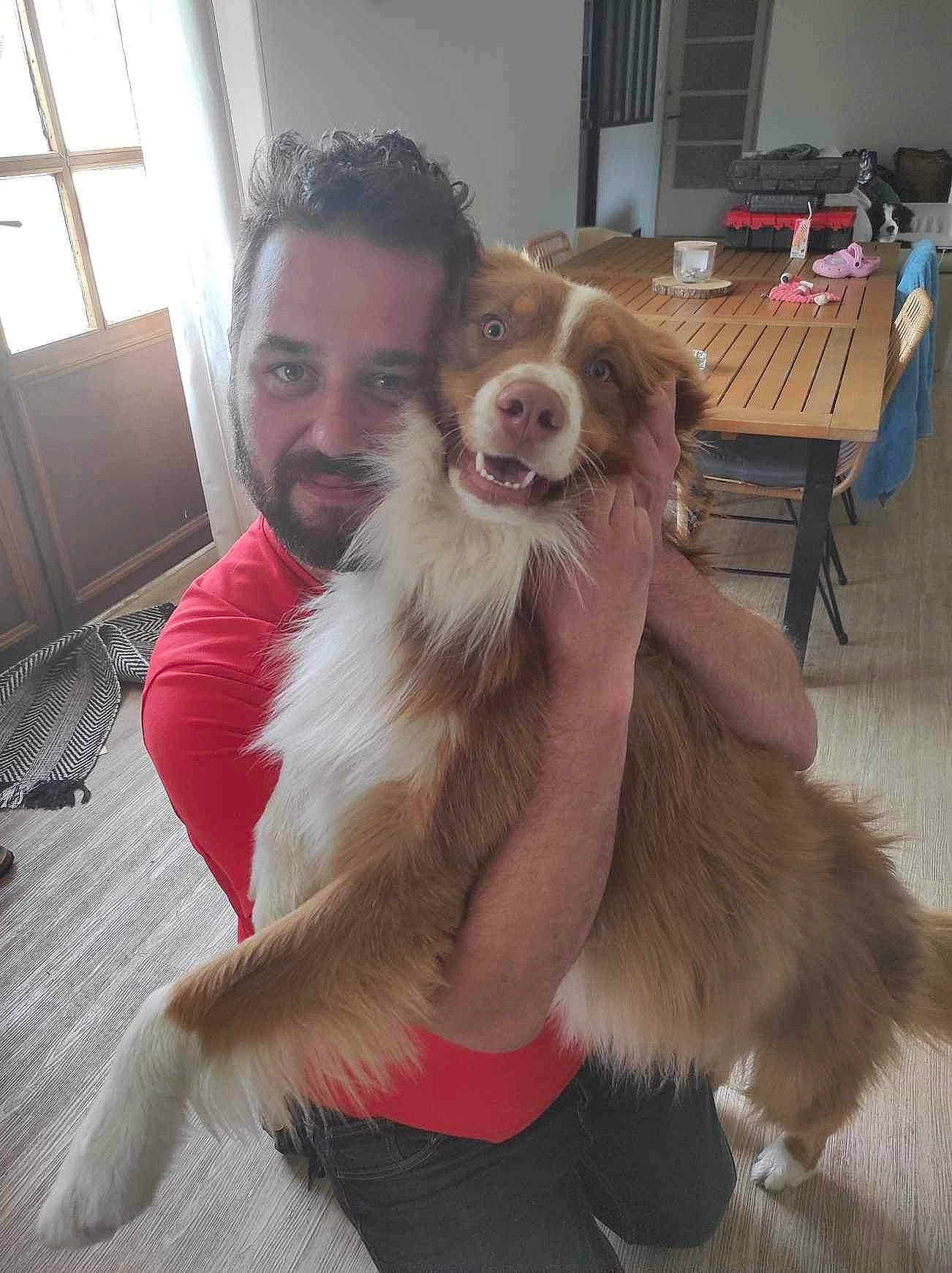 Milka a rejoint le concours — aidez-le/la à gagner de superbes lots ! beard, canidae, carnivore, collie, companion_dog, computer_keyboard, dog, dog_breed, fawn, flooring, fun, fur, liver, phalene, shetland_sheepdog, smile, sporting_group, table, toy_dog, window