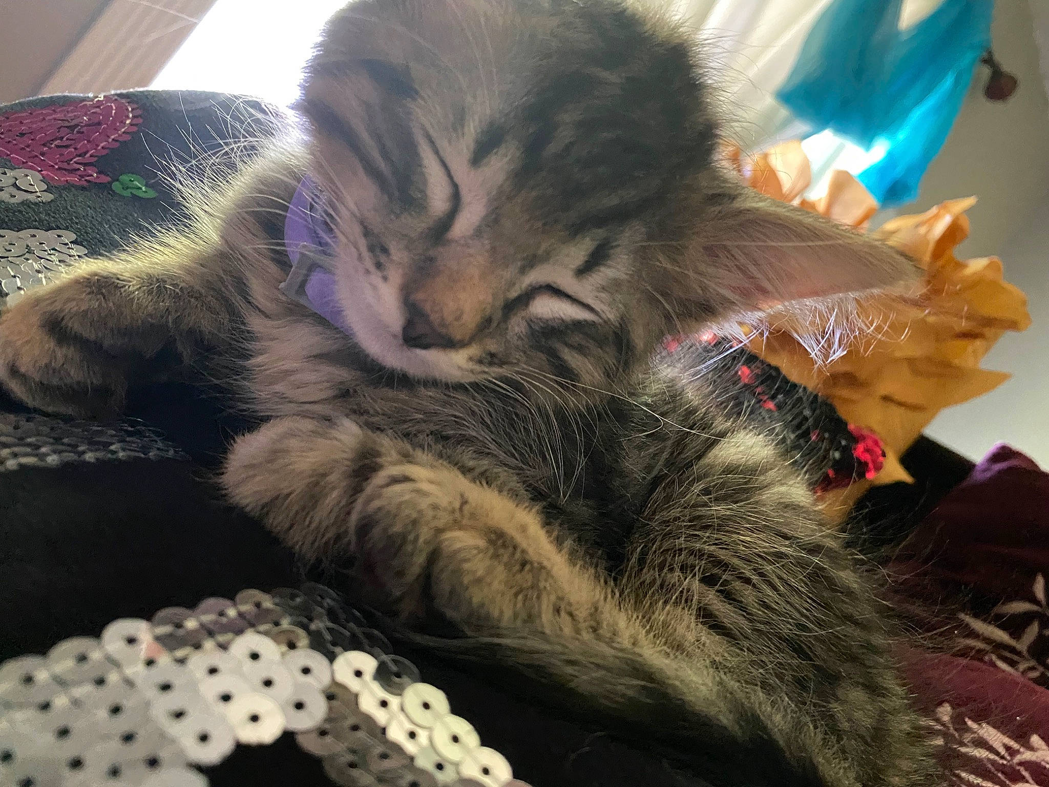 Leo