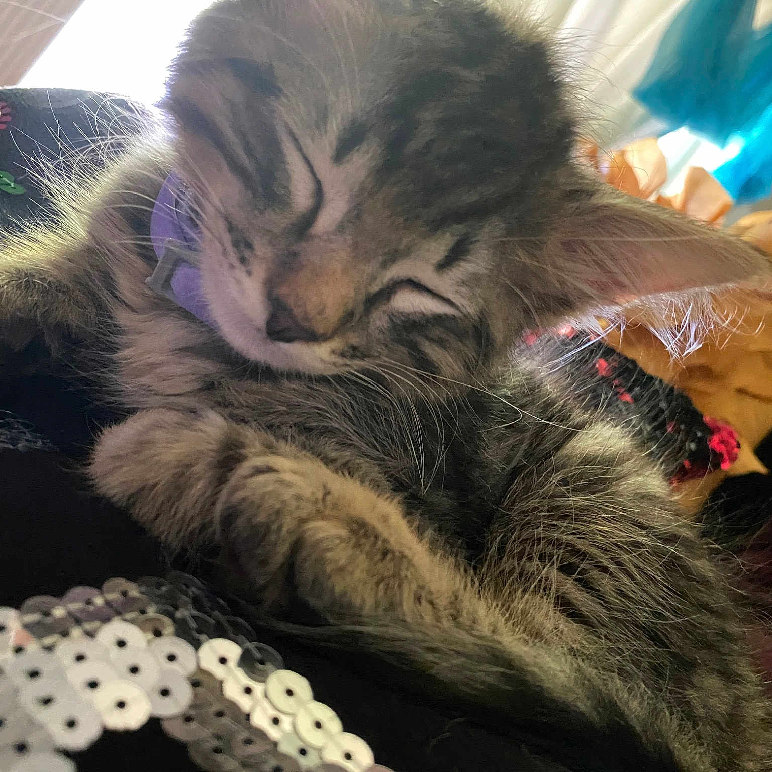 Leo
