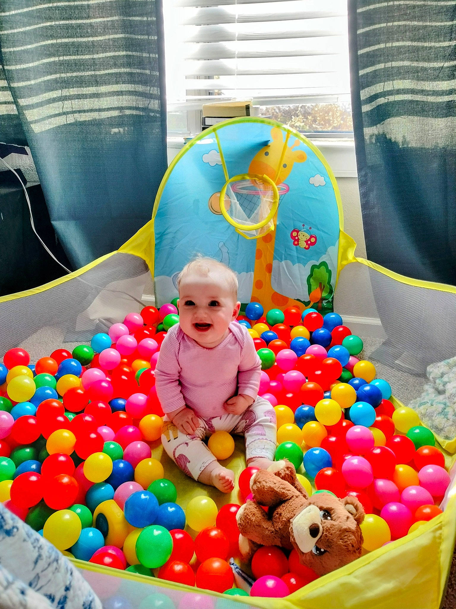 Jenny is registered to the contest to win money with this photo: baby, baby_toys, ball, ball_pit, child, confectionery, curtain, event, fun, leisure, person, play, product, recreation, smile, snapshot, sweetness, toddler, toy, window