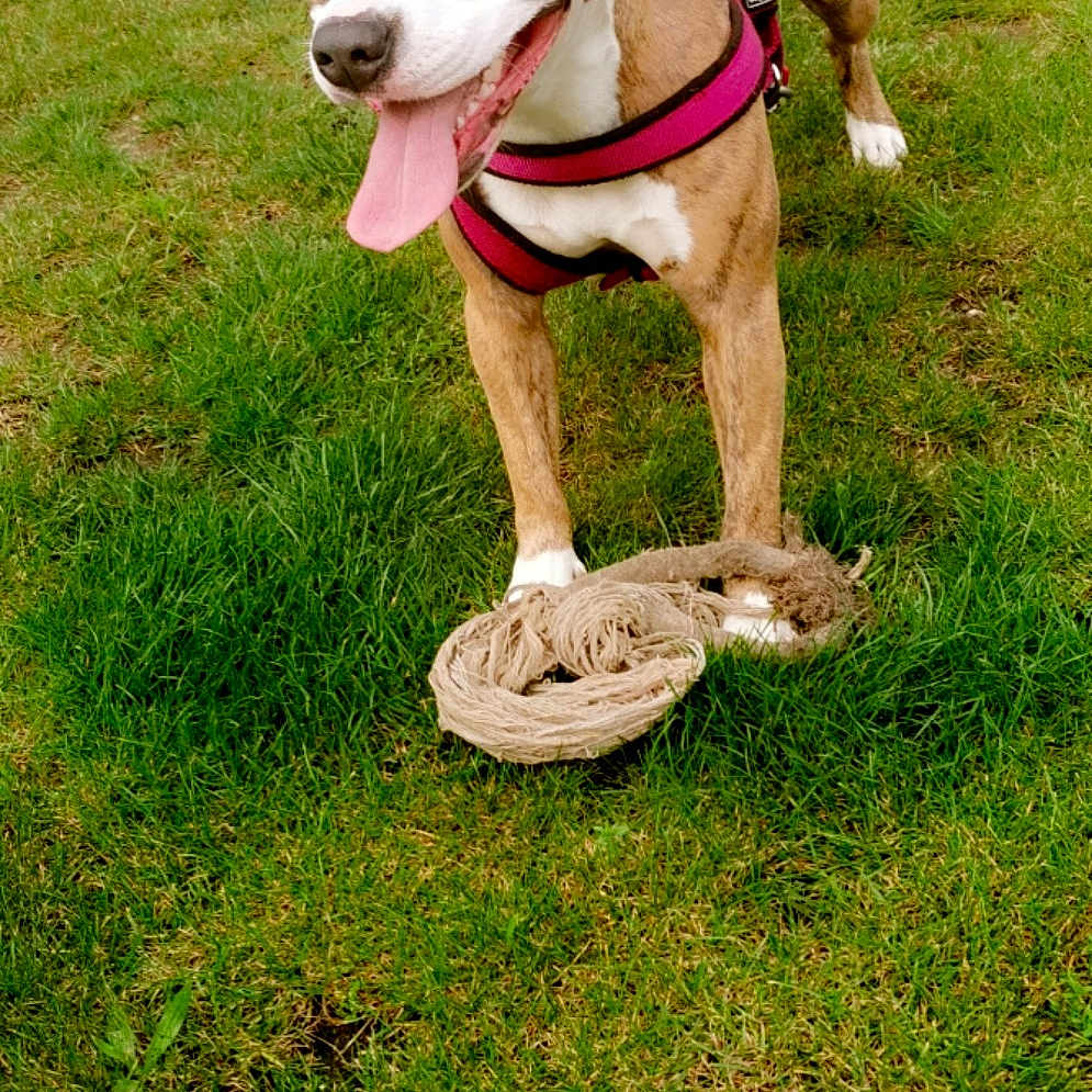 Zina
