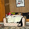 animal, black_and_white_cat, carpet, cat, cozy, cute, decor, floral_pattern, furniture, home, indoor, paw_print, pet, relaxing, resting, sign, sleeping, small_couch, toy, wood_panel_wall