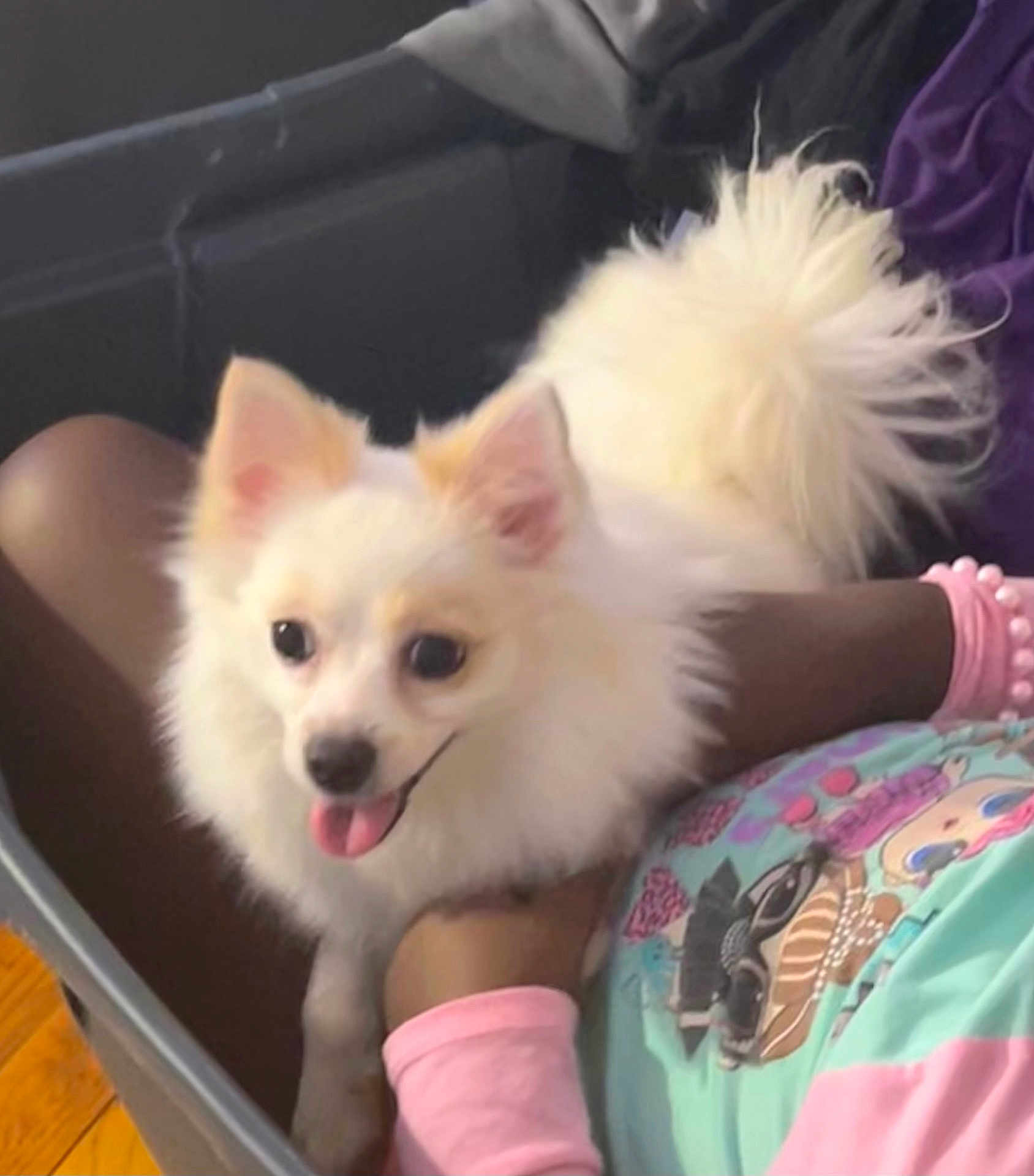 Mia