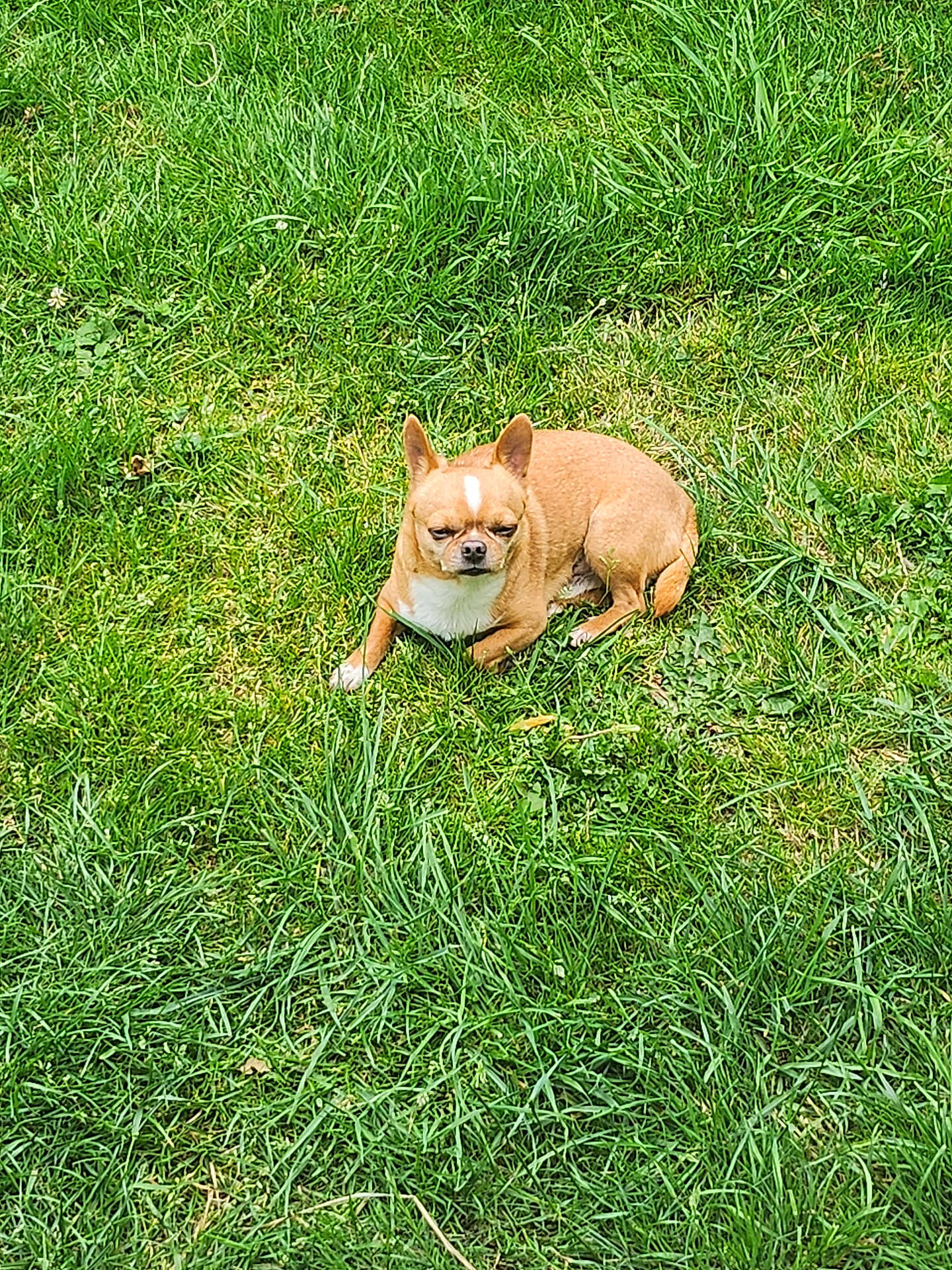 Rocky