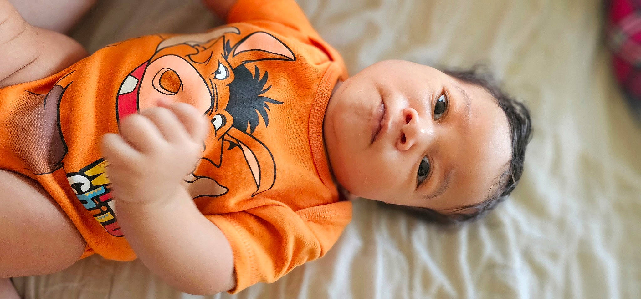 Kion is registered to the contest to win money with this photo: arm, baby, baby_sleeping, baby_toddler_clothing, cheek, child, close_up, comfort, eyelash, finger, hand, happy, mouth, nose, orange, person, skin, sleeve, toddler, toy