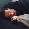 Wicket is registered to the contest to win money with this photo: animal, bed, black_clothing, brown_dog, closeup, companion, cozy, cuddling, dog, face, indoors, man, nap, pet, pillow, portrait, relaxed, resting, sleeping, white_dog